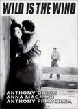 Wild Is The Wind DVD 1957 Anna Magnani Anthony Quinn Anthony Franciosa Dolores Hart George Cukor