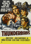 Thunderbirds 1952 DVD John Drew Barrymore John Derek Mona Freeman Gene Evans Ben Cooper Slim Pickens